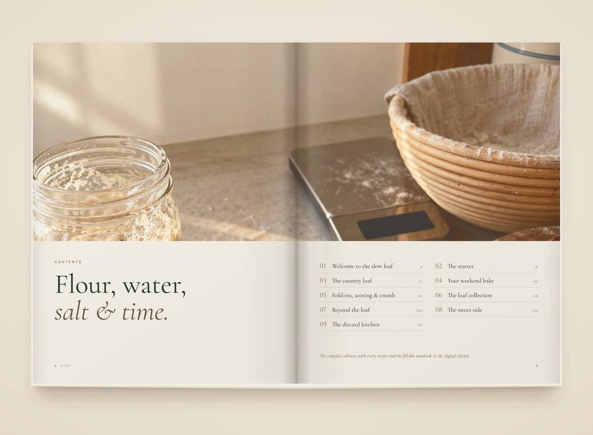 Rise, look inside: Contents